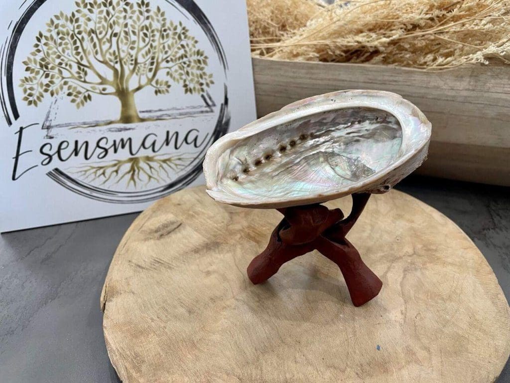 coquille ormeau trepied